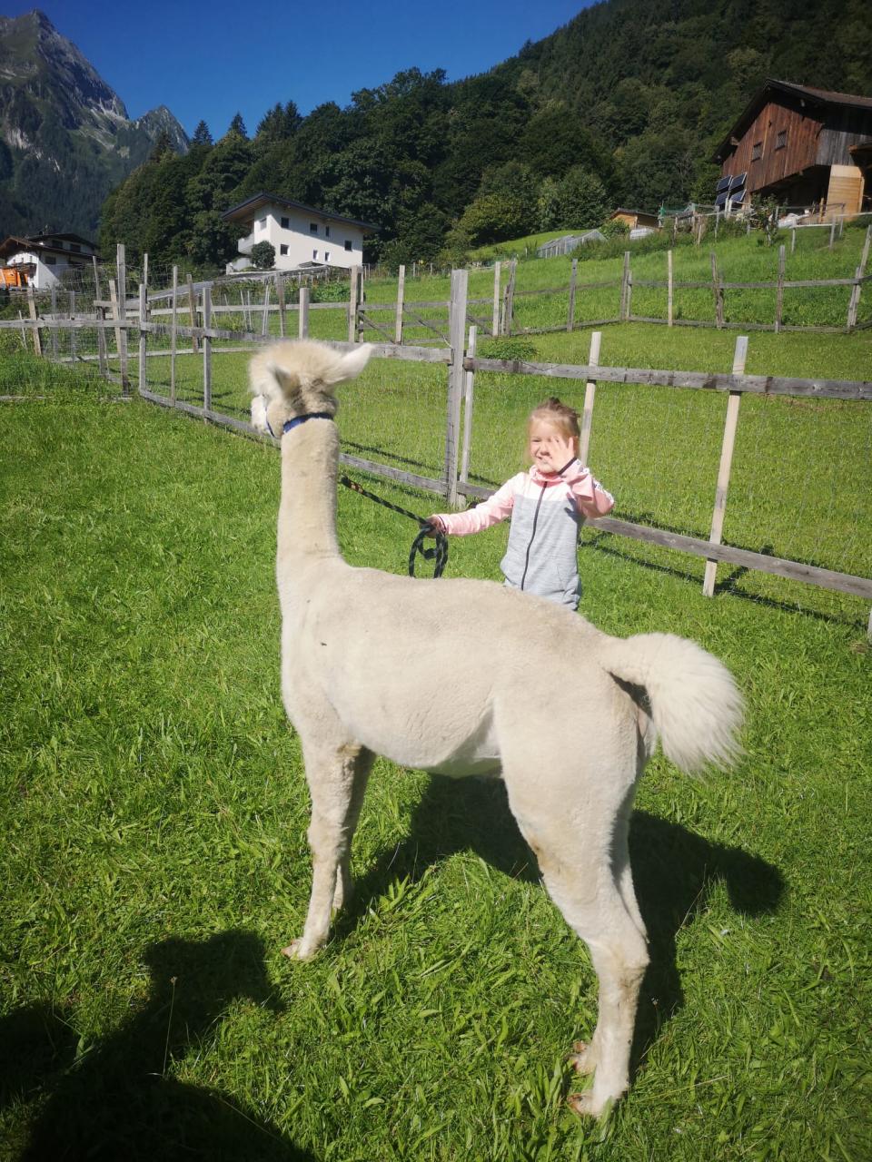 Amilia mit Alpaka