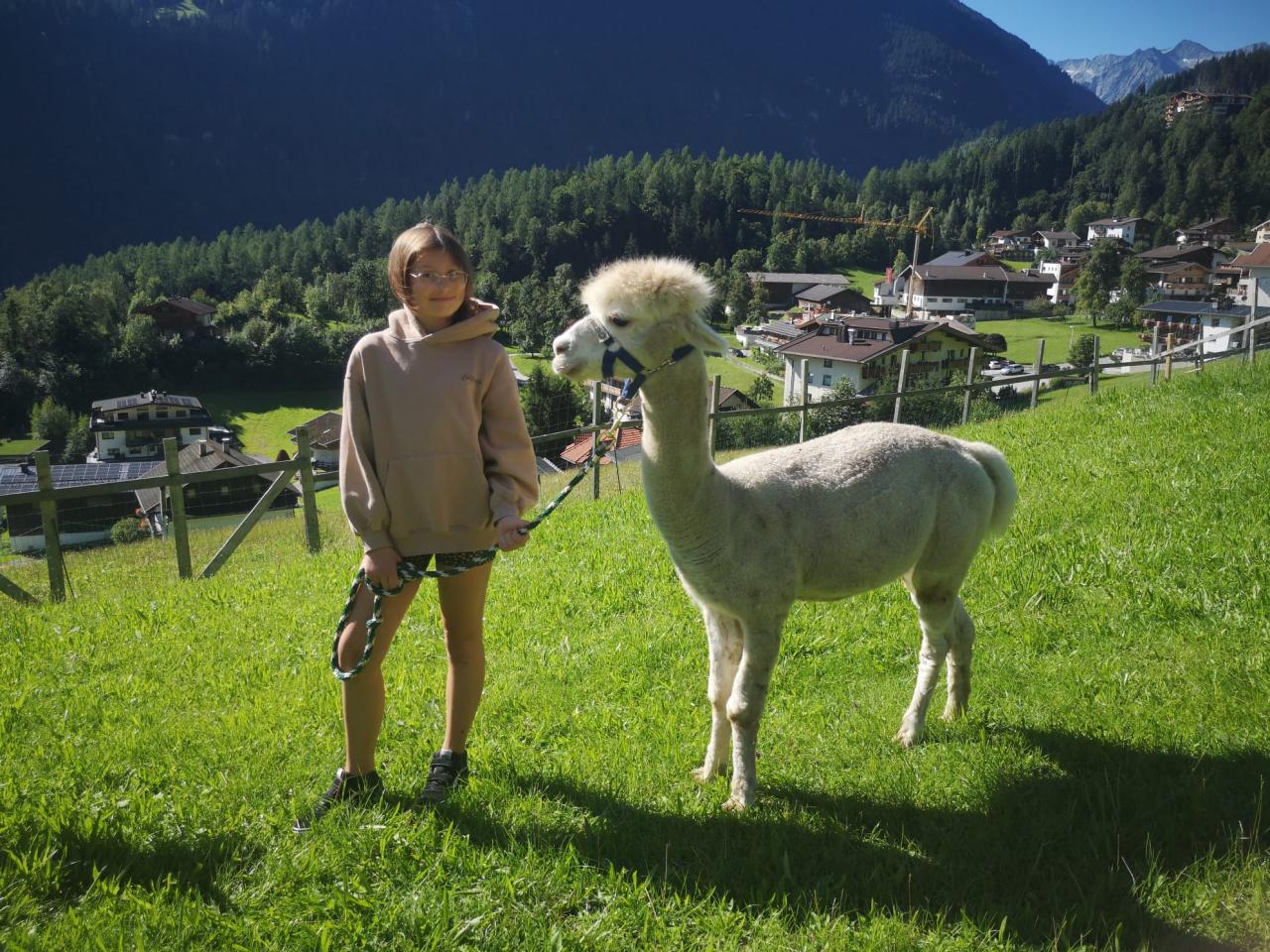 Liana mit Alpaka